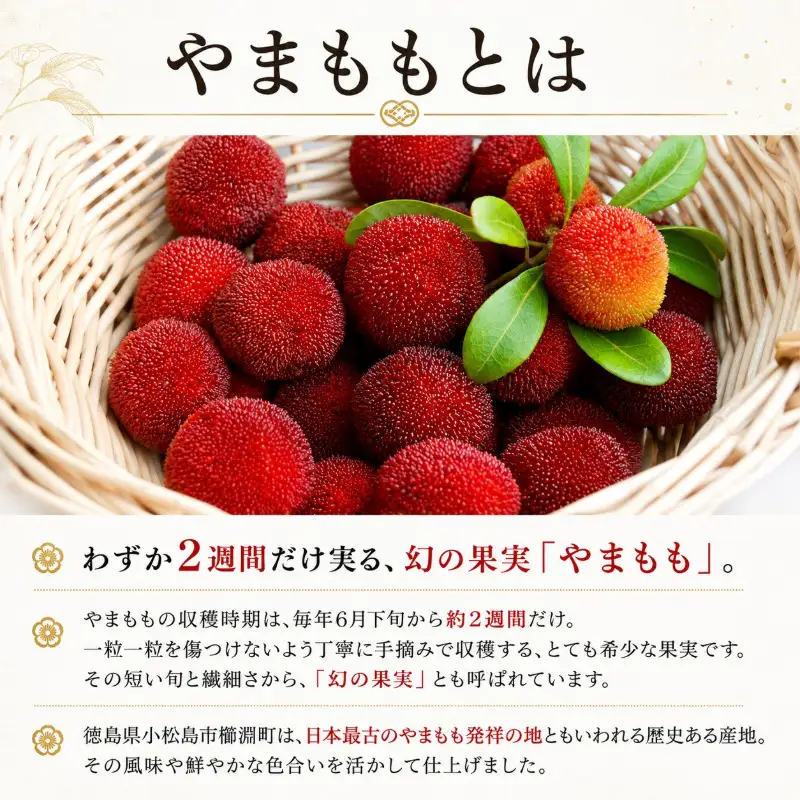 やまもも ピューレ＆ジュース 220ml × 2本セット | ヤマモモ 100%使用 小松島市 徳島