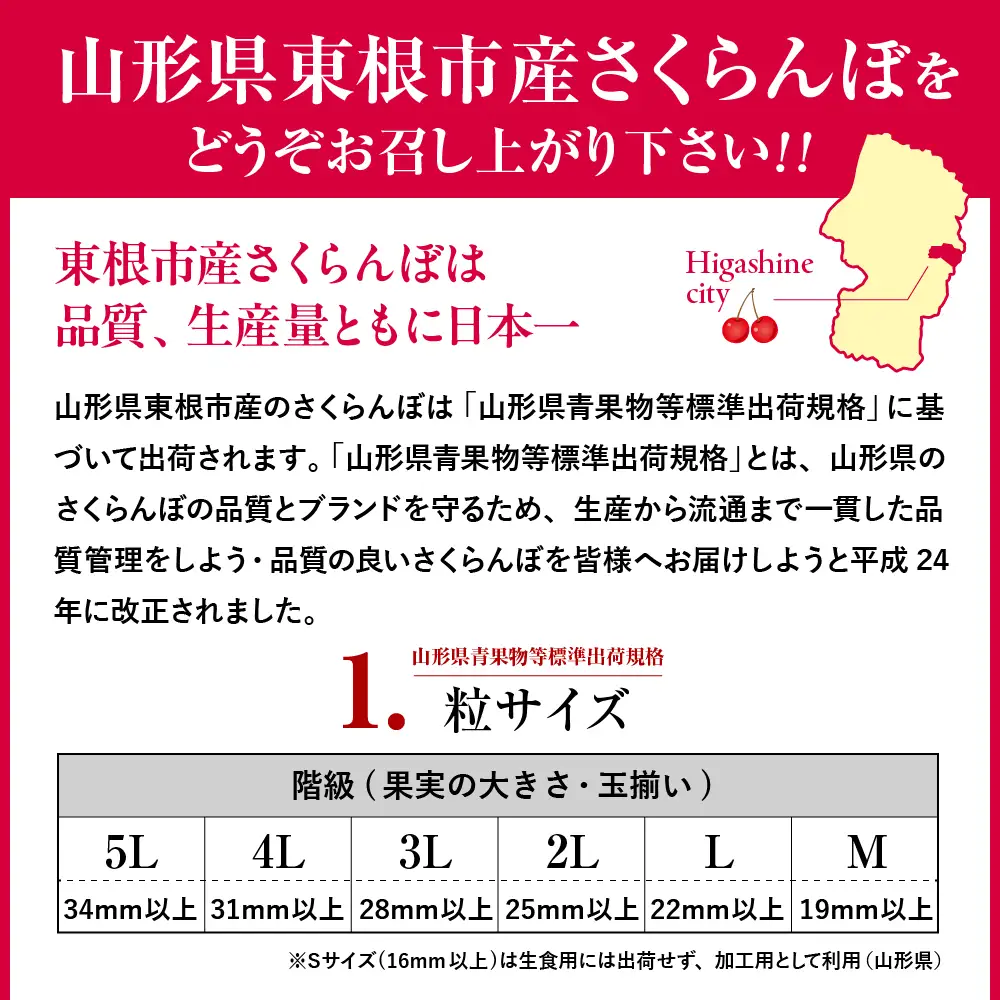 2027年産 5月配送 温室 さくらんぼ 佐藤錦 秀L 300g さくらんぼ