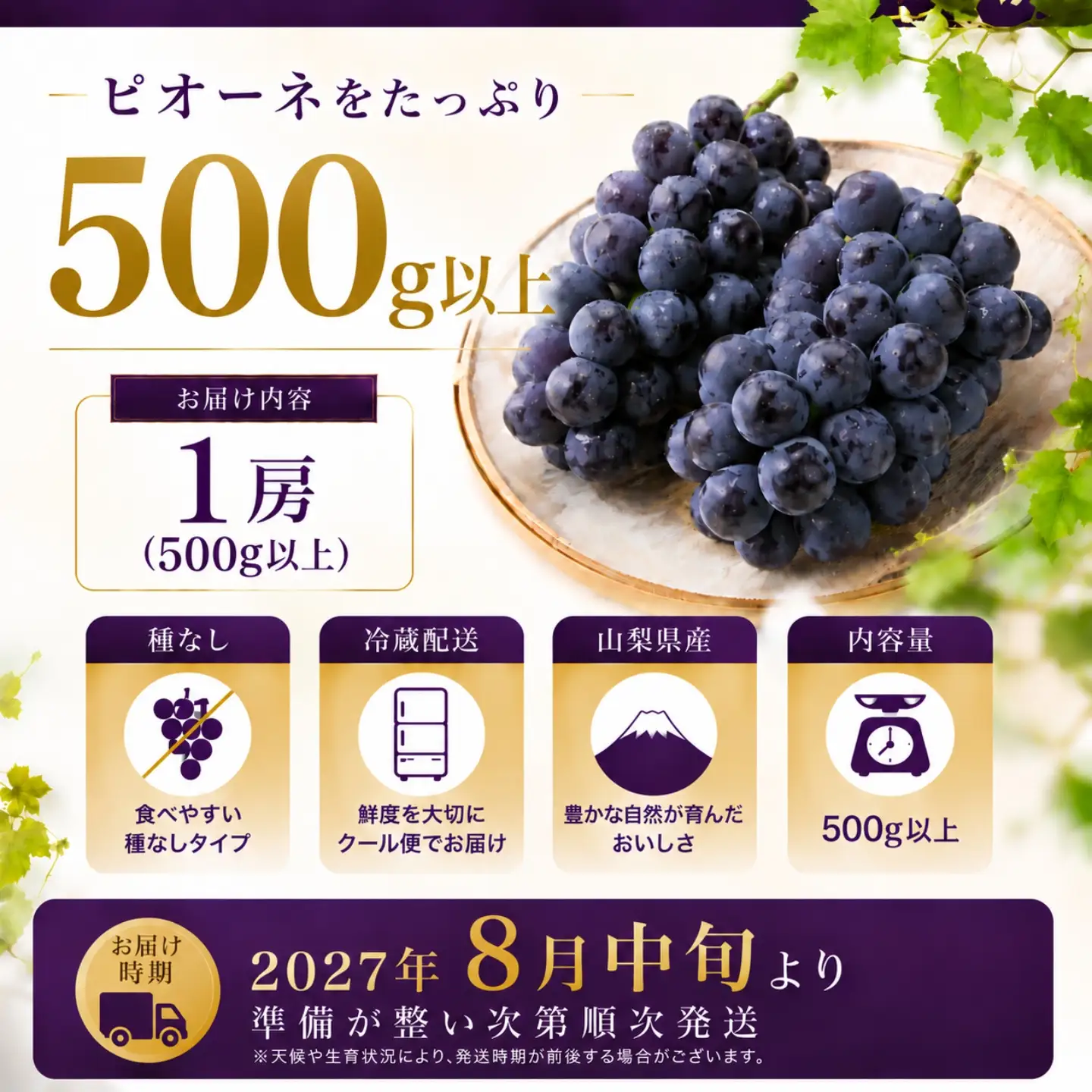 【2027年 先行予約】山梨県産　種なしピオーネ 1房　(500g以上）