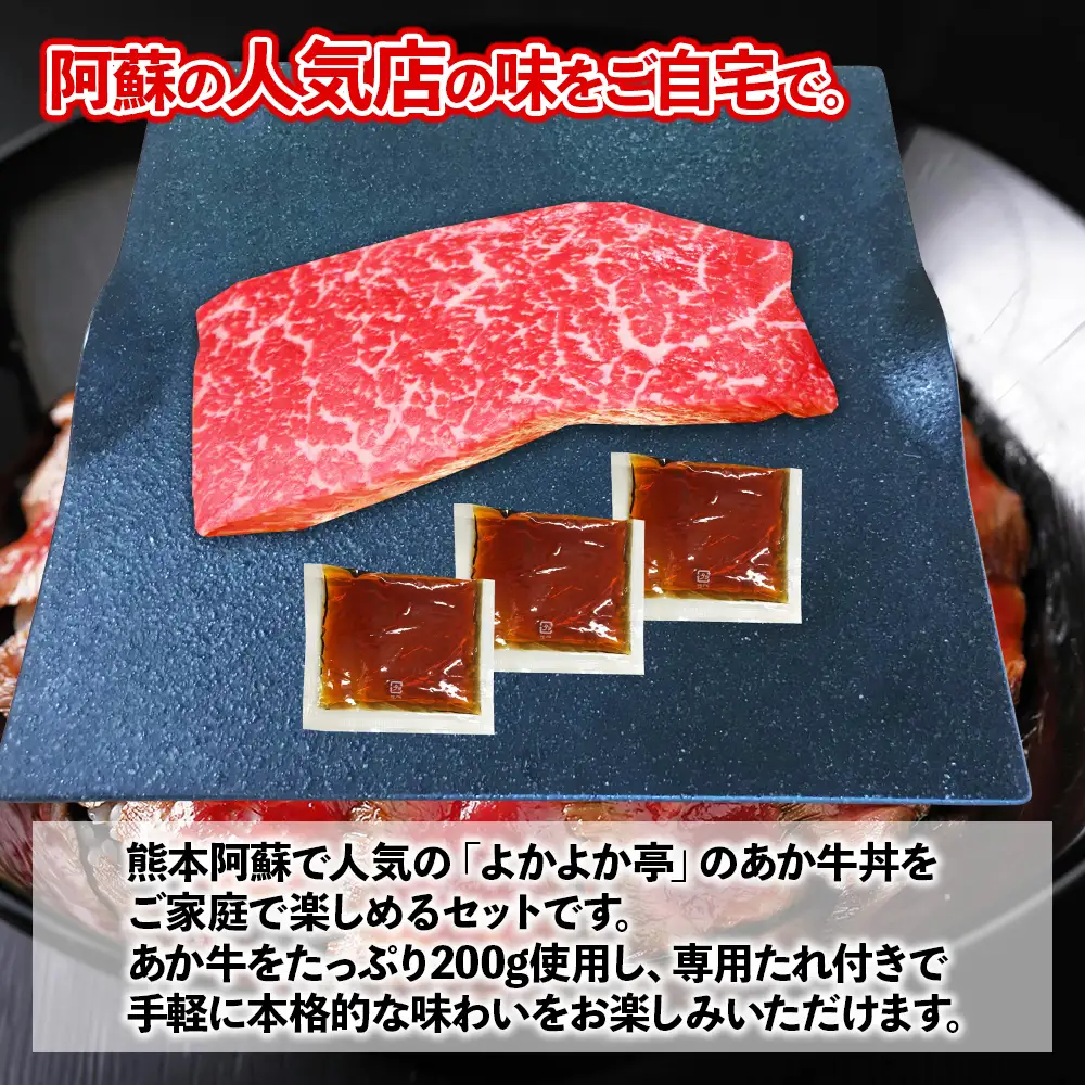 熊本名物 あか牛丼 4人前