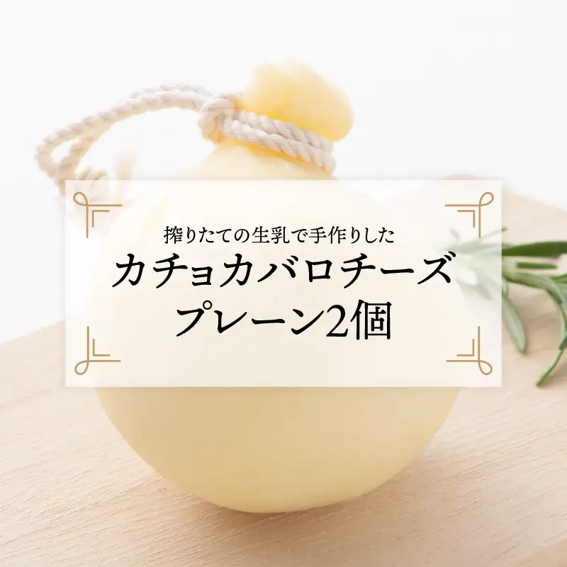 カチョカバロチーズ 2個詰め合わせ (プレーン) チーズ 発酵食品 熟成 [A-11904]