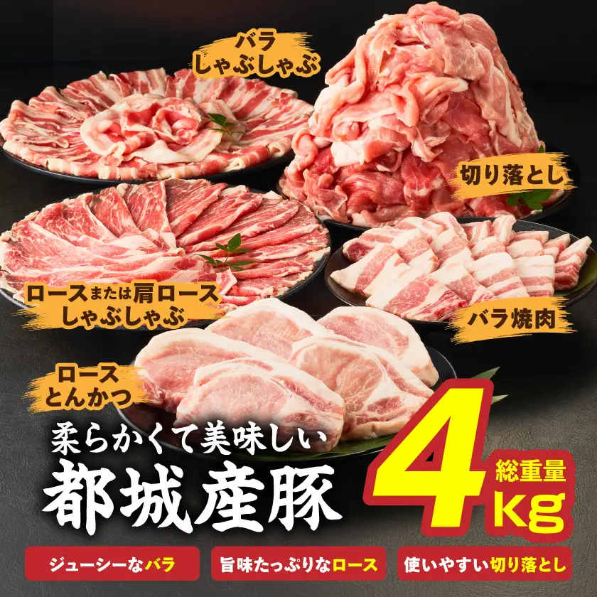 都城産豚バラエティセット4kg〔25-017〕_(都城市)