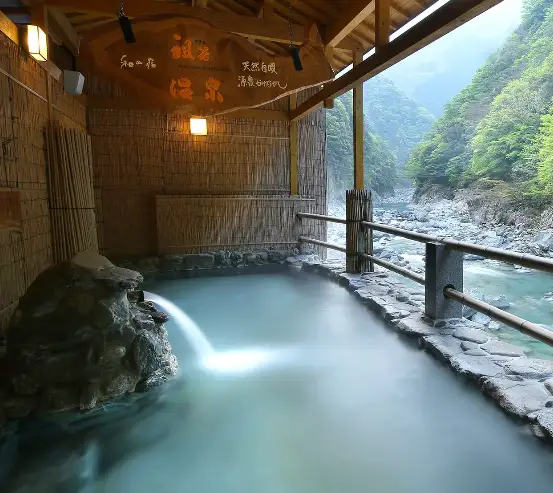 ホテル祖谷温泉 宿泊券 30,000円分 徳島県 三好市 旅行 【 ホテル 】