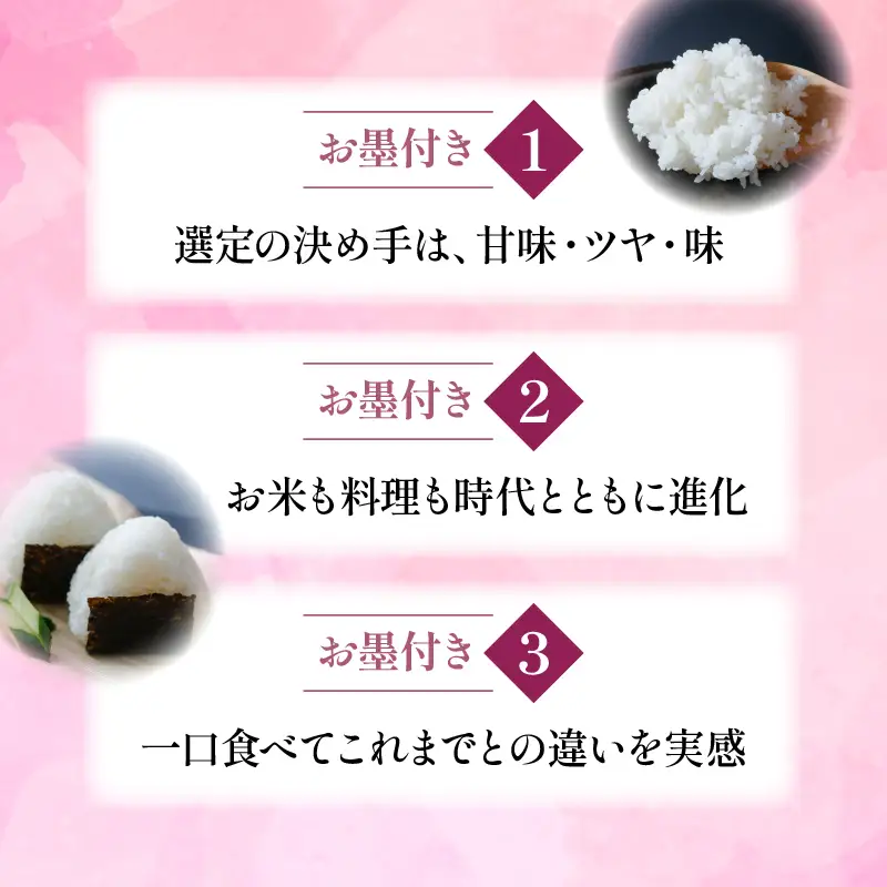 【令和8年産】新米 定期便 京都府産米 京式部 10kg 12回定期便 ブランド米