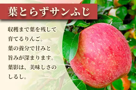 完熟！りんご 葉とらずサンふじ 10kg [1088] | 青森 つがる