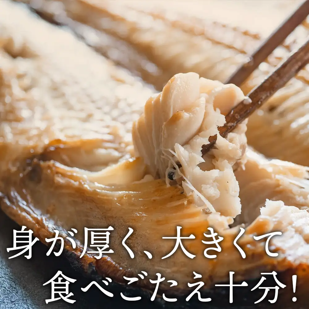 大きい 開きほっけ 5枚 セット ＜ 大川商店 ＞ ホッケ ほっけ 魚 北海道 干物 冷凍 北海道産