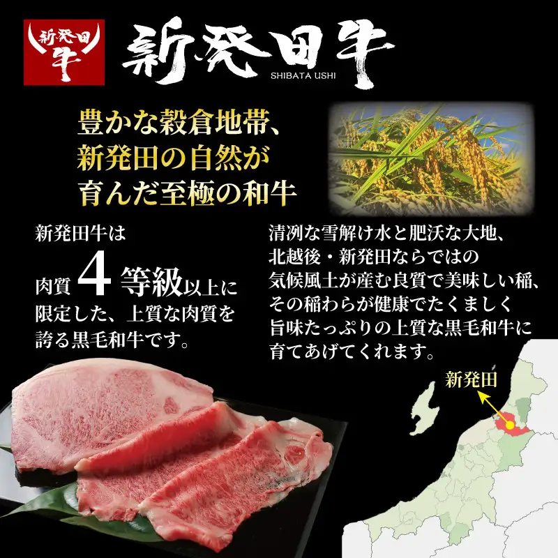 【髙島屋選定品】 サーロイン ステーキ 牛肉 500g にいがた和牛 和牛 新発田牛 赤身 焼肉 ふるさと納税 和牛 BBQ バーベキュー キャンプ 特選 贅沢 厳選和牛 ブランド牛 ギフト 贈答 お歳暮 新潟 新潟県 新潟産 新発田 新発田市 新発田産 えのもとミート tenomoto002