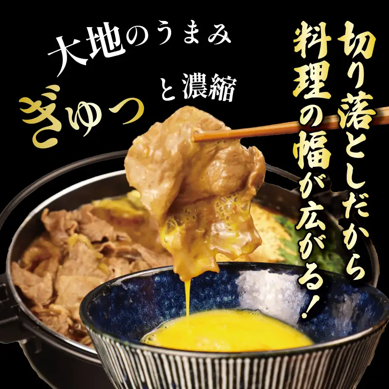 【髙島屋選定品】 牛肉 切り落とし 300g 肉 和牛 霜降り ブランド牛 新発田牛 にいがた和牛 しゃぶしゃぶ 小分け 小間切れ 新潟県 新発田市 新潟 新発田 近江牛 神戸牛 松阪牛 米沢牛 三大和牛 に負けない えのもとミート tenomoto004