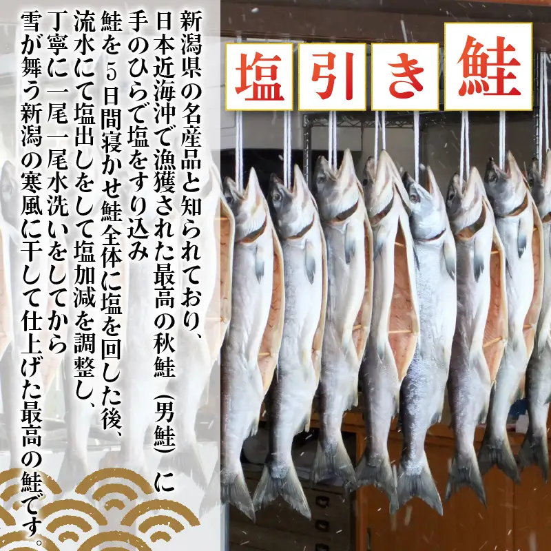 【髙島屋選定品】 鮭 半身 切り身 約900g 塩引き鮭 冷凍 個包装 国産 ｻｰﾓﾝ さかな 海産物 食品 小分け 真空パック 惣菜 お酒のあて  塩引き 鮭 半身 切り身  贈答 ギフト 佐々木食品  新潟 新発田 魚介 推し tsasaki003