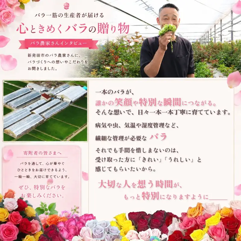 【髙島屋選定品】 花束 定期便 4回 バラ おまかせ 25本 花 生花 hana ブーケ 薔薇 ローズ お任せ ミックス MIX フラワーアレンジメント フラワー 雑貨 インテリア 人気 記念日 誕生日 敬老の日 入学式 卒業式 ギフト プレゼント 生産者 直送 日時指定可 新潟県 新潟 新発田 tplan005