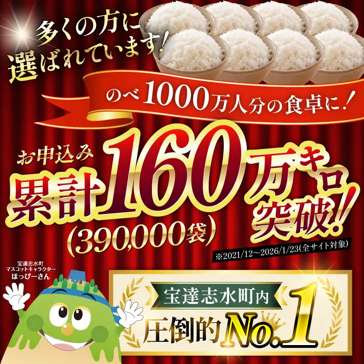 米 定期便 能登米 こしひかり 10kg ×12回 総計 120kg 精米 令和8年産 新米