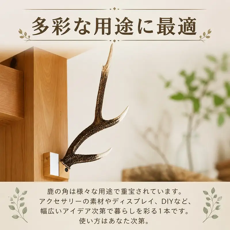 鹿の角 1本 インテリア 鹿角 ジビエ 【 鹿の角 】