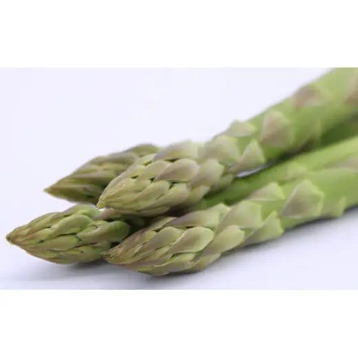 【令和9年産先行予約】 アスパラガス (春芽) 約1kg (4Lサイズ 約20本前後) 《令和9年5月～発送》 『生産者 吉田 太一』 山形南陽産 農家直送 山形県 南陽市 [1951]