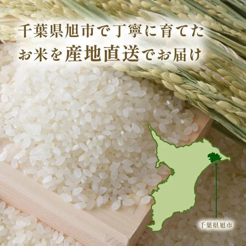 【令和8年産先行予約】【12ヶ月5kg定期便】白米 こしひかり 精米 ブランド米 定期便 令和9年産