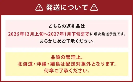 福岡県産 あまおう 合計約540g 約270g×2パック 【2026年12月上旬～2027年1月下旬迄発送】