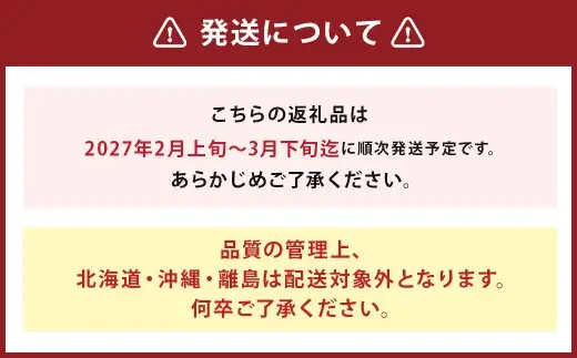 福岡県産 あまおう 合計約540g 約270g×2パック 【2027年2月下旬～3月下旬迄発送】