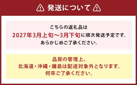 【訳あり】 福岡県産 あまおう 約660g 約330g×2パック 【2027年3月上旬～3月下旬発送】 中粒 小粒 いちご 苺 イチゴ 果物 フルーツ