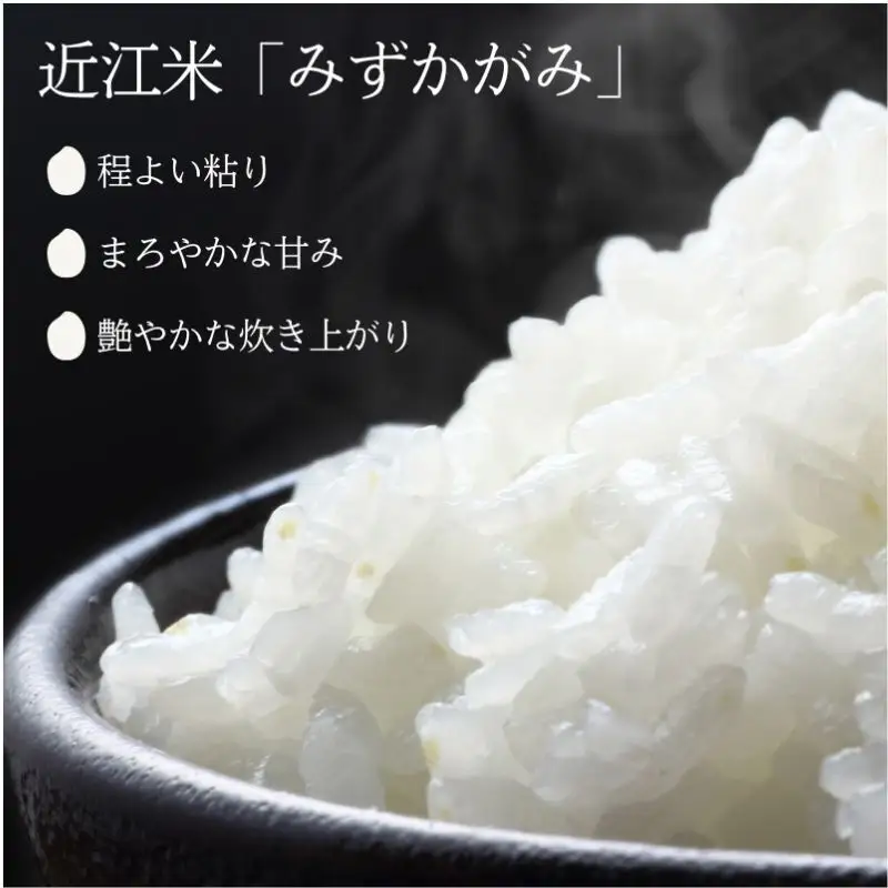 新米 先行予約 令和8年産 みずかがみ 10kg 無洗米 お米 特A受賞歴 環境こだわり栽培米 近江米 米 コメ こめ 白米 精米 ご飯 10キロ 滋賀県 豊郷町