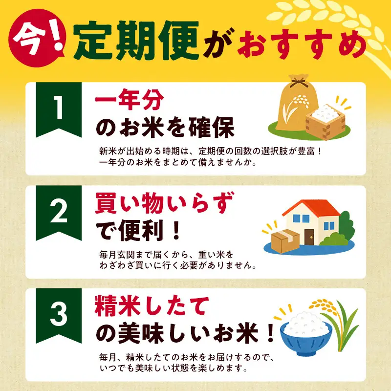 【6か月定期便/10月下旬より配送】新之助 10kg 上越産 令和8年産