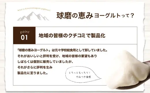 球磨の恵み ヨーグルト セット 計4000g（加糖・砂糖不使用）1000g×各2個セット 乳製品 生乳 朝食 おやつ ヘルシー