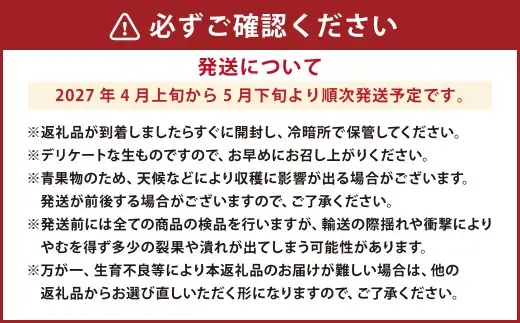 【2027年4月上旬から5月下旬発送】熊本県産 大玉春すいか 1玉 熊本県 果物 くだもの フルーツ 熊本県産 国産 スイカ 西瓜 春スイカ 春すいか 春
