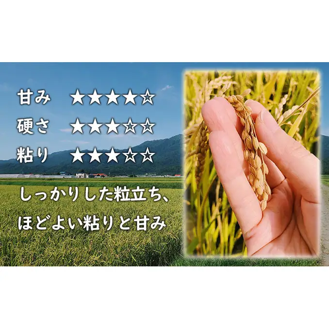 【令和8年度】北海道 富良野産 ななつぼし 減農薬 5kg 米 (山本農園) お米 ご飯 ごはん 白米 定期 送料無料 北海道 富良野市 道産 直送 ふらの