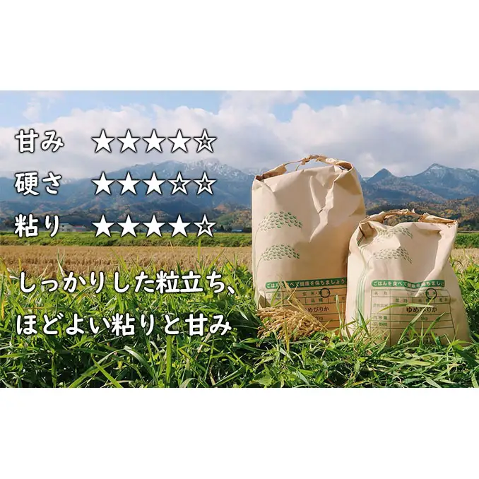 【令和8年度】北海道 富良野産 ゆめぴりか 減農薬 5kg 米 (山本農園) お米 ご飯 ごはん 白米 定期 送料無料 北海道 富良野市 道産 直送 ふらの