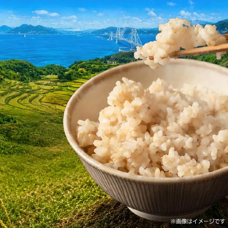 【定期便】令和8年産米　淡路島産コシヒカリ　玄米10kg《9回コース》