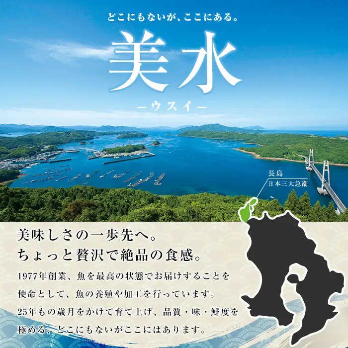 【冷凍】ブリカマ付！茶ぶり スキンレスロイン(片身分・2分の1カット済) 鮮魚 下処理済み ぶり 柵 刺身 ブリ 切り身 鰤 ぶりかま 【ウスイ】usui-7319R8B