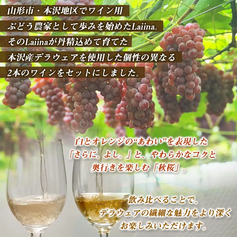 山形市産 ぶどうワイン飲み比べセット「さらに、よし｡」「秋桜 -kosumosu-」2本組 FY26-276