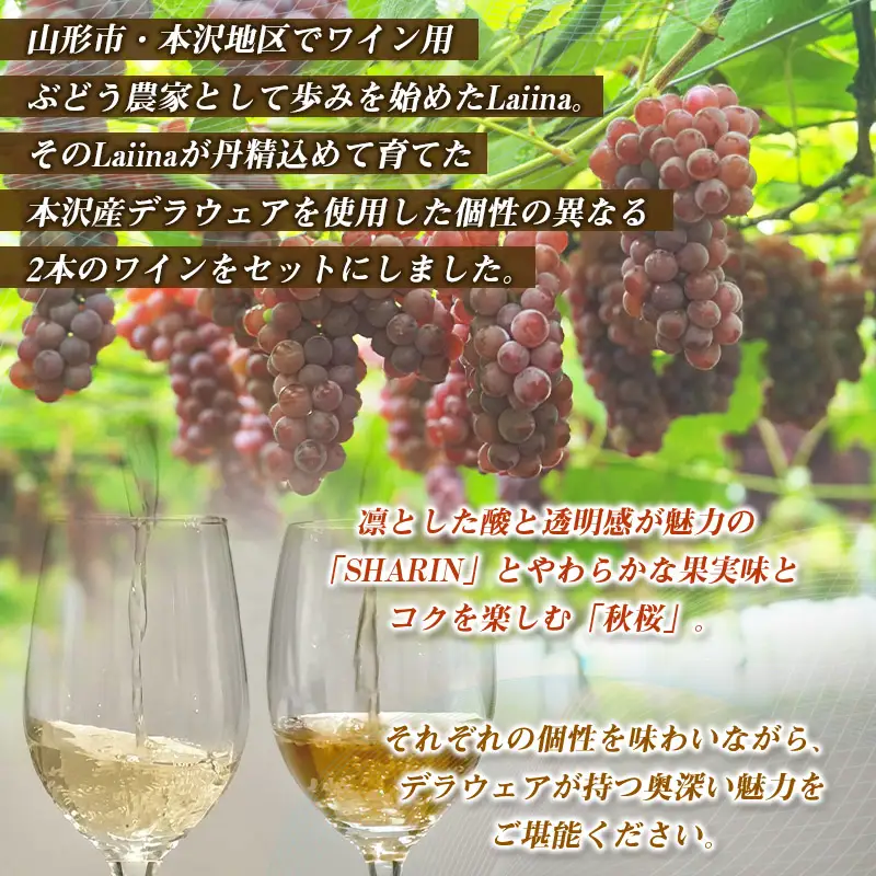 山形市産ワイン飲み比べセット「SHARIN（写輪）」「秋桜 -kosumosu-」2本組 FY26-277