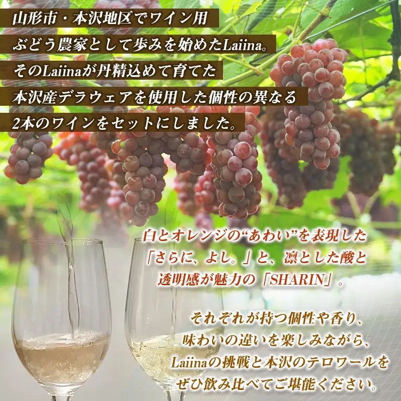 山形市産ワイン飲み比べセット「さらに、よし｡」「SHARIN（写輪）」2本組 FY26-278