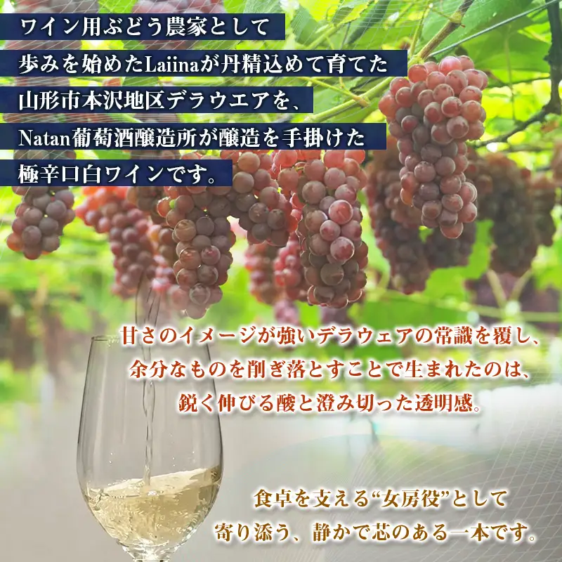 「SHARIN」Laiina×Natan葡萄酒醸造所 FY26-280
