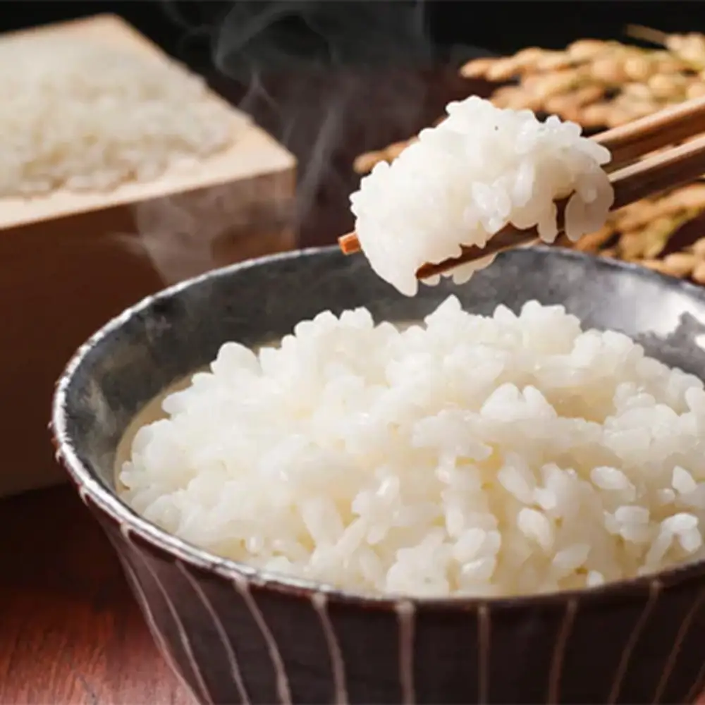 【令和8年産・先行予約】まっしぐら精米　5kg　【02402-0437】