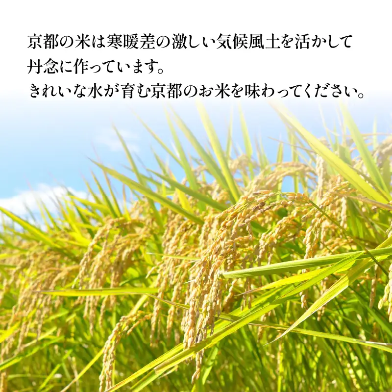【令和8年産】 京都のお米 食べ比べ3種セット 3kg 6回定期便
