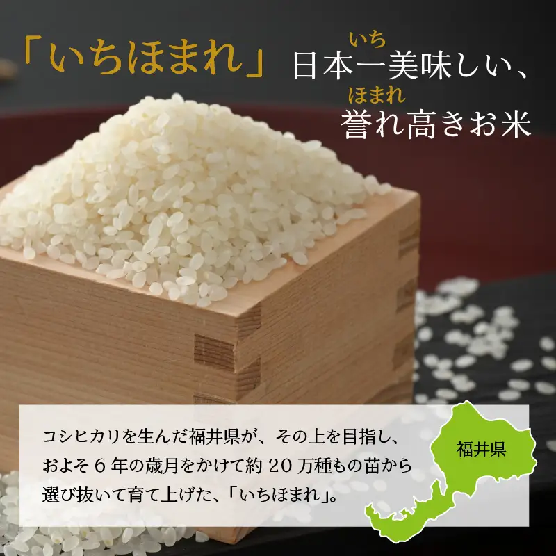 いちほまれ 15kg 精米 定期便 いちほまれ