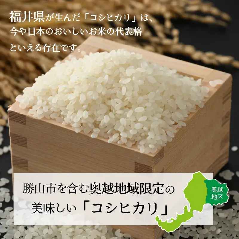 コシヒカリ 30kg 精米 定期便 コシヒカリ