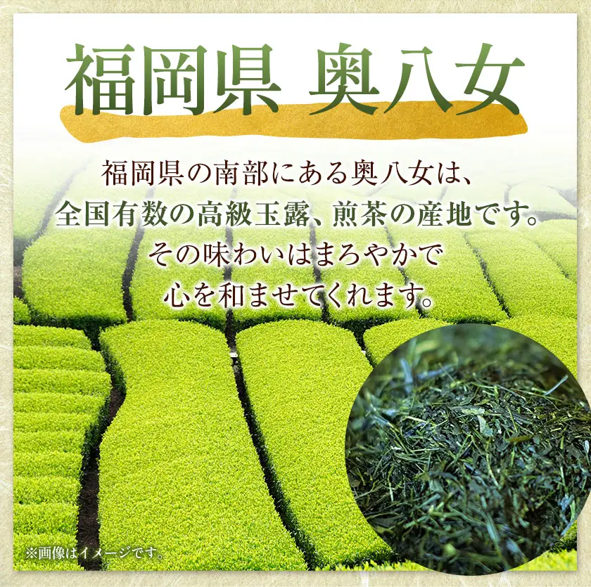 八女茶芳友園の煎茶詰合せA 煎茶 2種 各130g×2缶 株式会社木屋芳友園