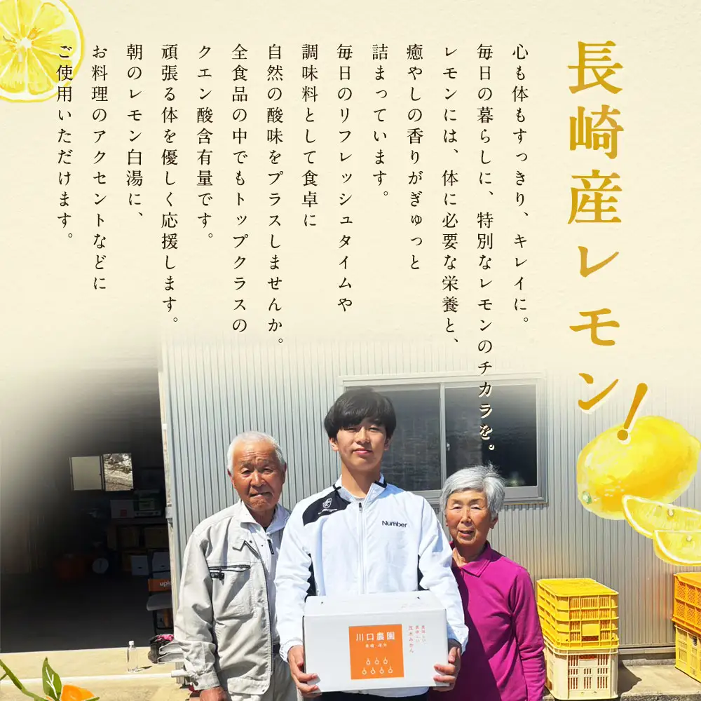 長崎産レモン 約2.5kg （ 個数 ・ サイズ おまかせ ）レモン 檸檬 れもん 果実 果物 フルーツ デザート リフレッシュ 調味料 クエン酸 料理 白湯 リモネン 【 2026年12月下旬～2027年4月上旬まで順次発送予定 】