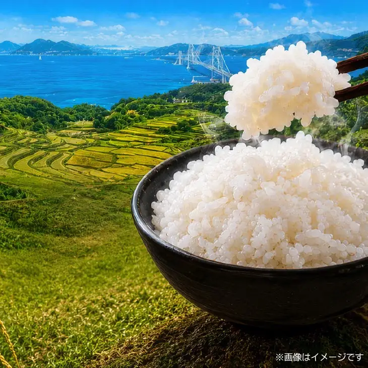 令和8年産米　淡路島産コシヒカリ　白米10㎏