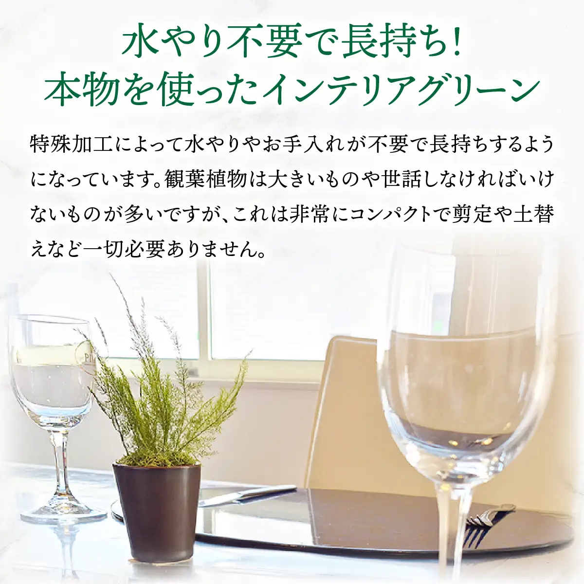プリザーブドインテリアグリーン アスパラミント