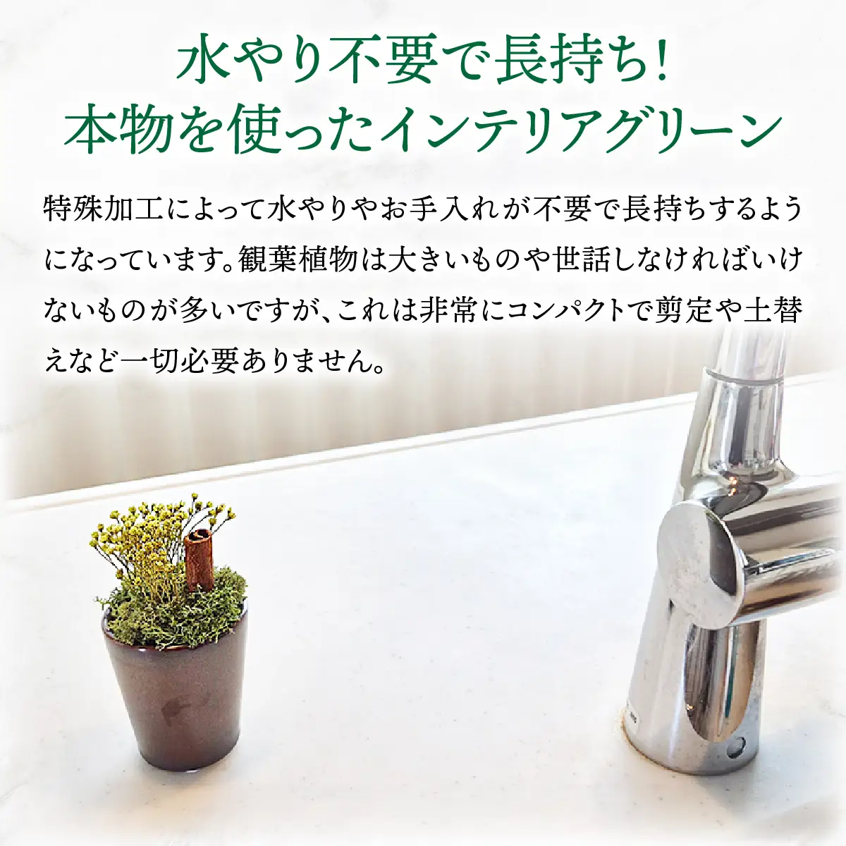 プリザーブドインテリアグリーン ふんわりモス