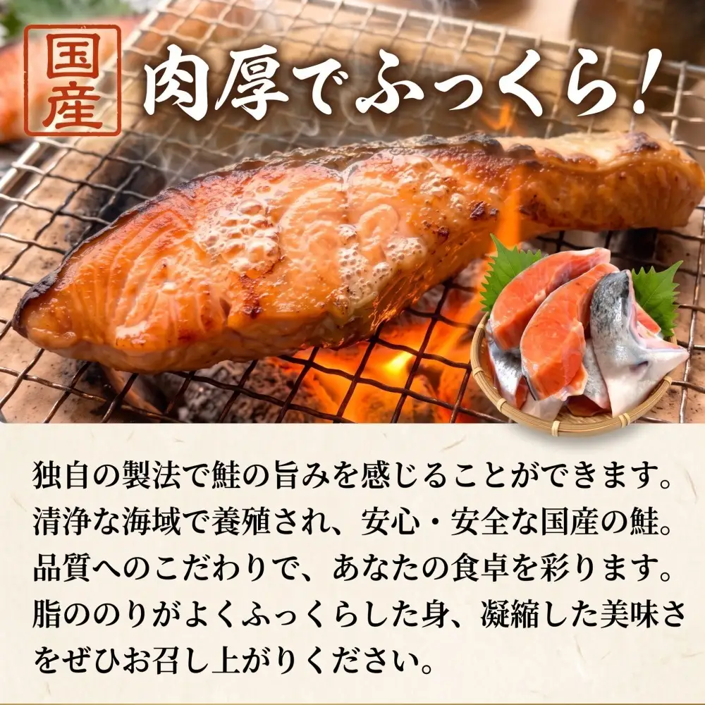 【訳あり】石巻産 冷凍 銀鮭 切身 3kg 国産 鮭 不揃い 魚