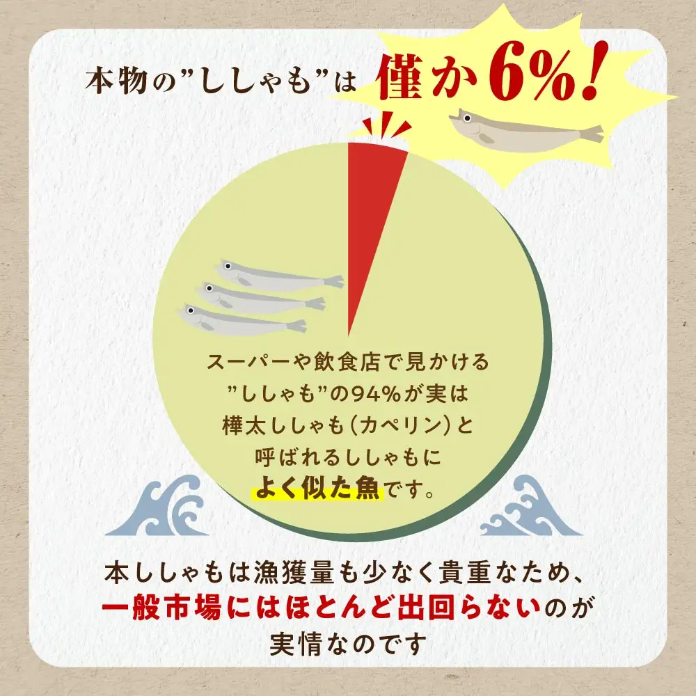 しらぬか産 本ししゃも メス 大きめ 20尾_A020-1542