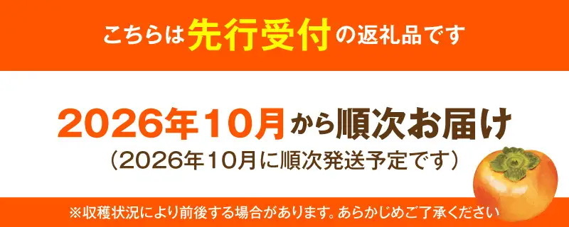 【先行受付】 訳あり 太秋柿 6kg こねり柿園こだわりの『よのちゃん太秋柿』 _KNR0408
