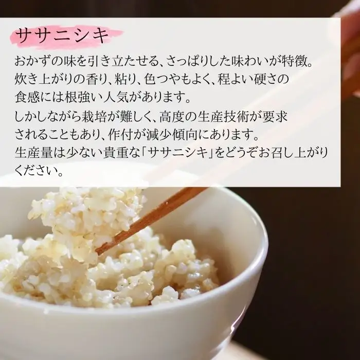 先行予約】【令和8年産】【新米】【令和8年10月中旬～順次発送
