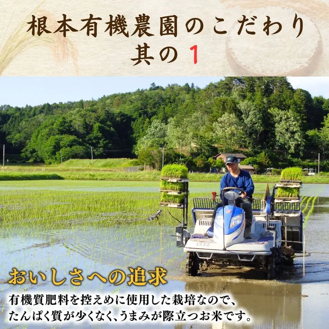 【先行予約】玄米 定期便 JAS有機 コシヒカリ 30キロ (5kg×6回) 令和8年産 | 定期便 農薬不使用 根本有機農園