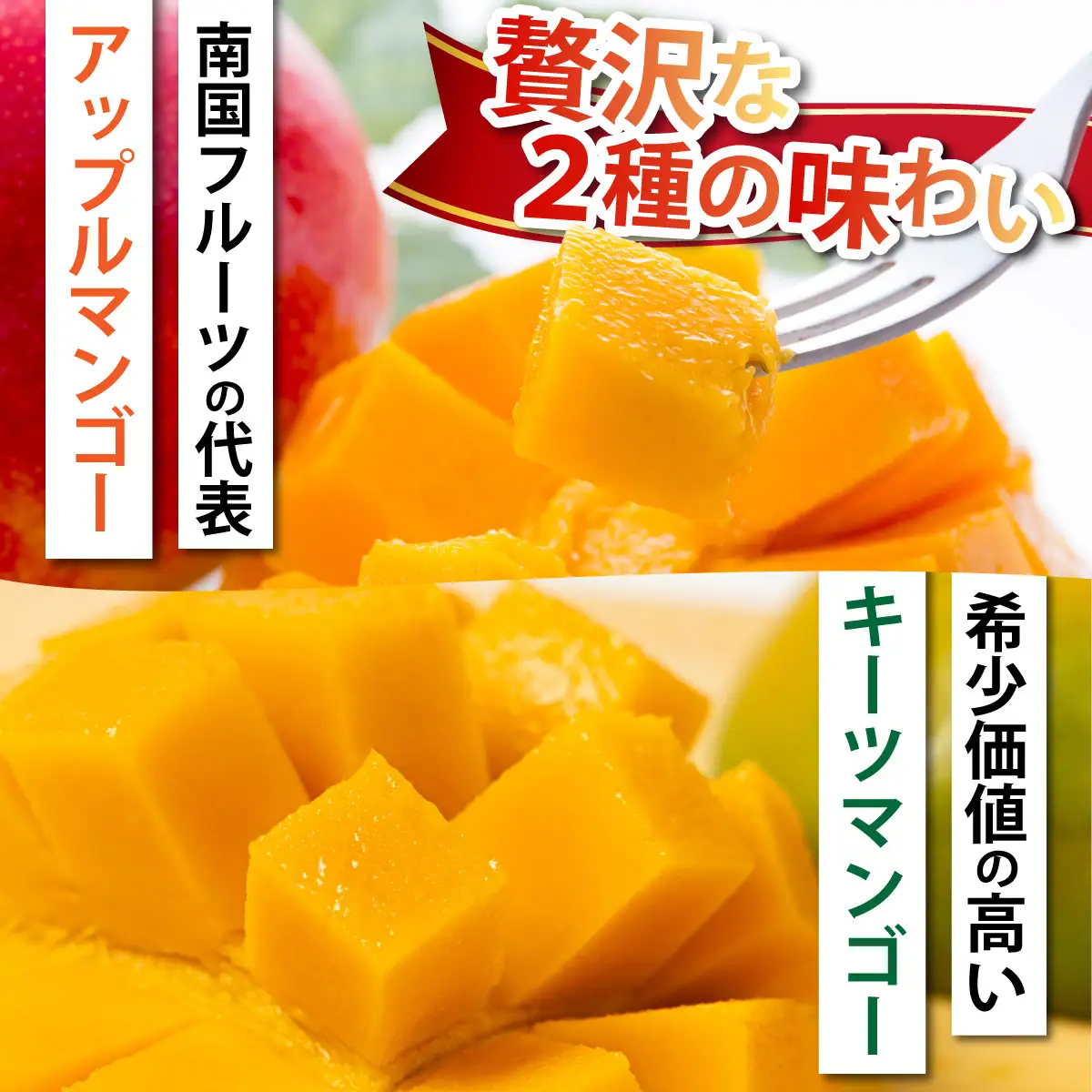【2027年発送】マンゴーBOX（大）《アップルマンゴー中玉4個（約1kg）キーツマンゴー大玉2玉（約1.5kg）》| フルーツ くだもの 果物 マンゴー アップルマンゴー キーツマンゴー 名護パイン園 沖縄県 豊見城市 （AC035）