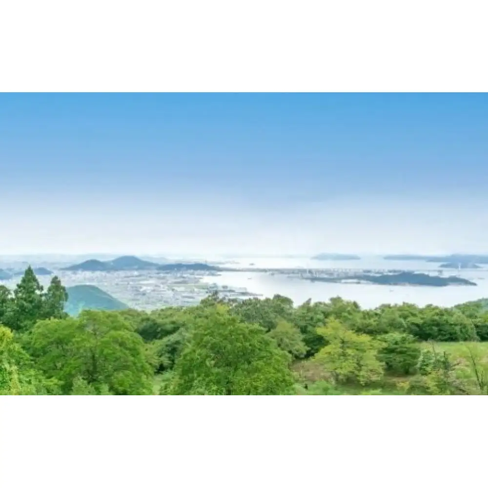 香川の銘石 サヌカイト チャイム×1個【10月中旬以降発送】
