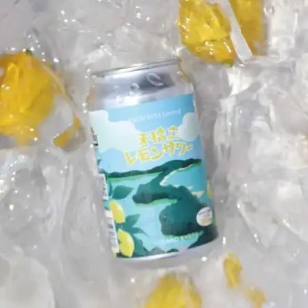 【与謝野町産ホップ使用クラフトビール】天橋立レモンサワー LEMON SOUR  350ml×12本【配送不可地域：離島】【1776950】